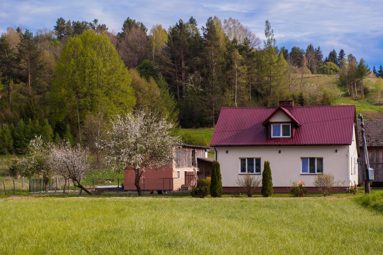U Jadzi Pogorze Przemyskie Bircza 外观 照片
